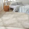 Calvin Klein alfombra Irradiant CK024 IRR01 SILVR SILVER 5X7 099446129222 interior 1