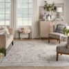 Nourison alfombra Lynx LNX01 IVGBL IVORY GREY BLUE 12x16 099446082237 interior 3