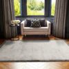 Asiatic alfombra Blade Border 08 Silver Grey interior