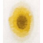 Alfombra Louis De Poortere, Meditation Gold Moss 2100, Drop design