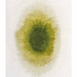 Alfombra Louis De Poortere, Meditation Green Pepper 2105, Drop design